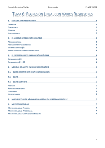 Apuntes Tema 6 Econometría.pdf