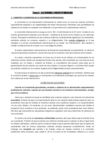 TEMA 5. DERECHO INTERNACIONAL.pdf