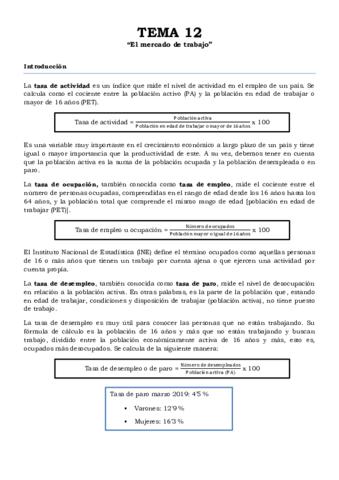 TEMA 12.pdf