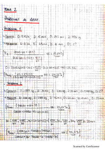 Problemas DAM.pdf