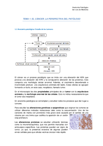 AnatoPato. tema 1.pdf