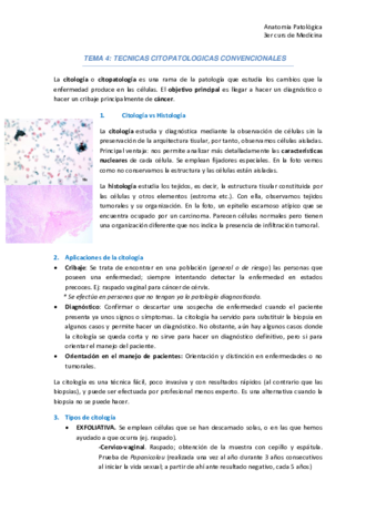 TEMA 4 ANATOPATO.pdf