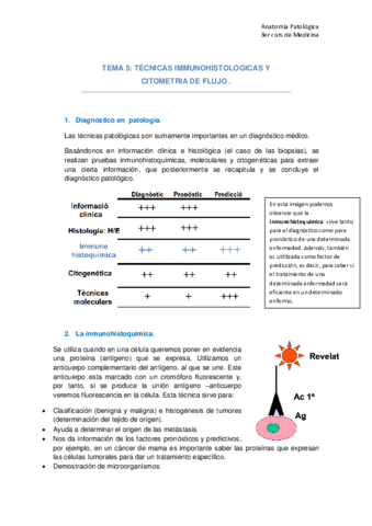 Tema 5 anatopato.pdf