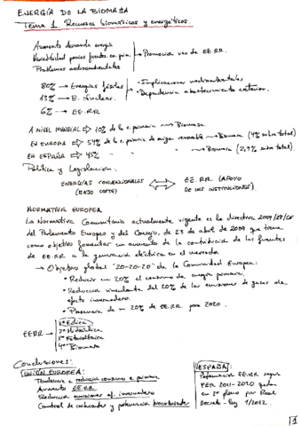 RESUMEN_T1_BIOMASA.pdf