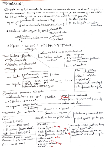 RESUMEN_PIROLISIS_BIOMASA.pdf