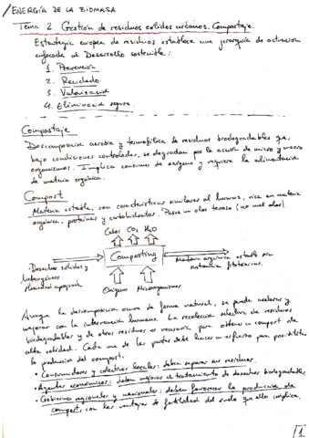 RESUMEN_T2_BIOMASA.pdf