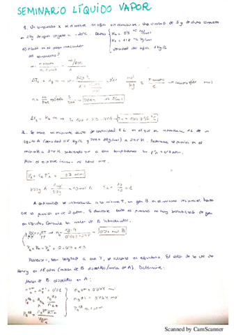 seminario líquido vapor.pdf