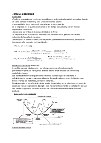 Tema 3_ Capacidad.pdf