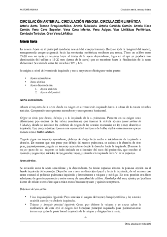 Circulacion tronco.pdf