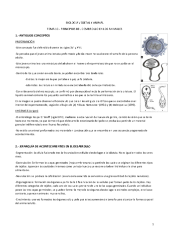 PRINCIPIOS DEL DESARROLLO DE LOS ANIMALES.pdf