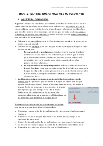 TEMA 4. SOCIEDADES DE LENGUAS EN CONTACTO.pdf