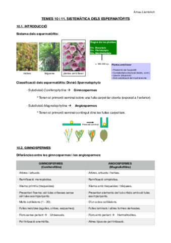 Apunts botànica farmacèutica (Temes 10 i 11).pdf