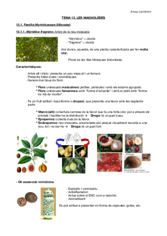 Apunts botànica farmacèutica (Tema 13).pdf