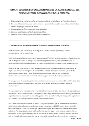 TEMA 1 PENAL ECONOMICO.pdf