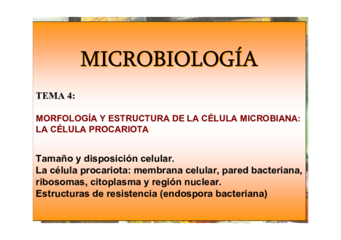 Tem_Celula_Procariota_1_.pdf