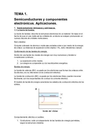 TEMA 1.pdf