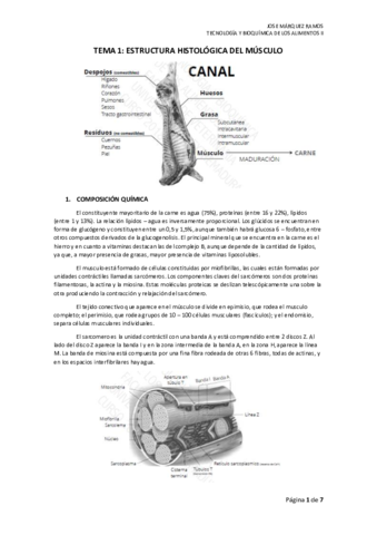 TEMA 1 EL MÚSCULO.pdf