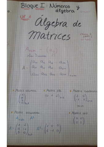 1 - Matrices.pdf