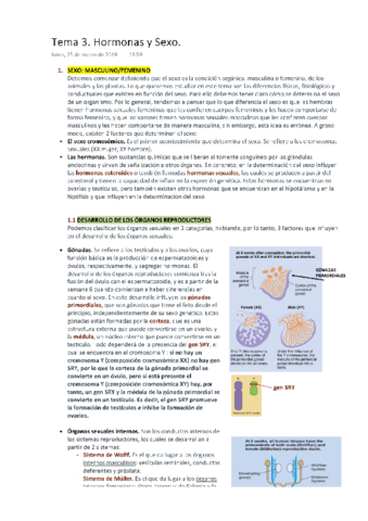 PSICOBIOLOGÍA Tema 3. Hormonas y sexo.pdf