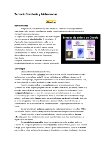 Tema 6 parasitología.pdf