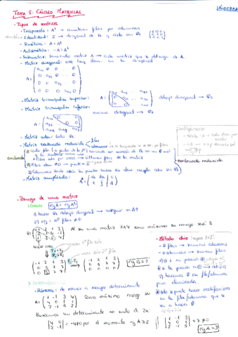 Apuntes Álgebra.pdf