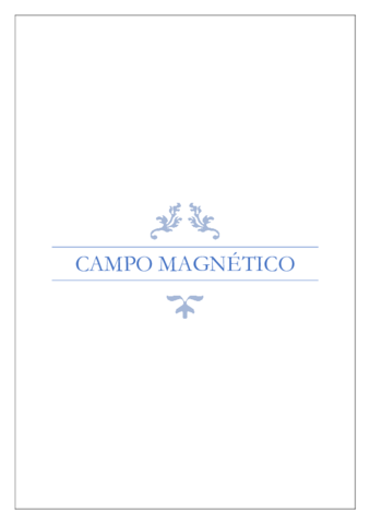 Campo Magnético.pdf