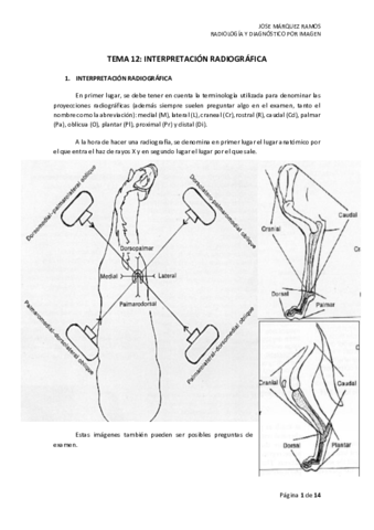 TEMA 12 INTERPRETACIÓN RADIOGRÁFICA.pdf