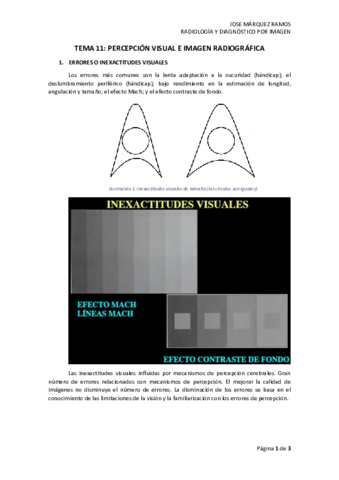 TEMA 11 PERCEPCIÓN VISUAL.pdf