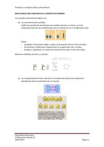Principios y conceptos básicos prenuméricos.pdf