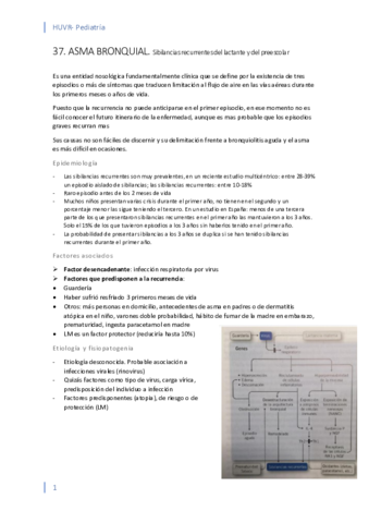37. Asma.pdf