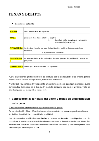 APUNTS PENES I DELICTES pdf.pdf