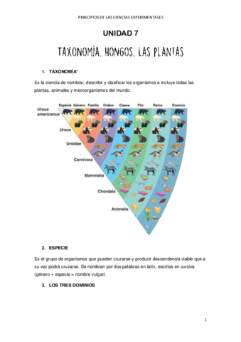 CIENCIAS - UNIDAD 7.pdf