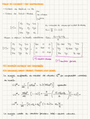 Tema 6_ criterio de agotamiento.pdf