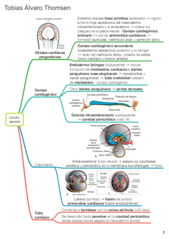 Cardiovascular NUM TOB.pdf