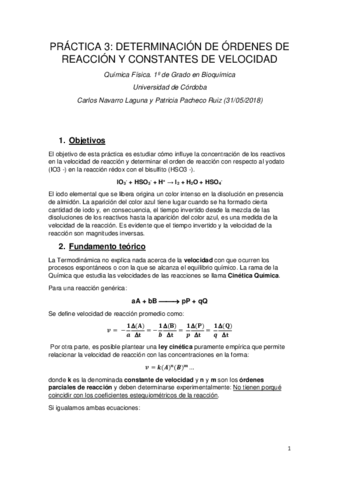 MEMORIA CONSTANTES DE VELOCIDAD .pdf