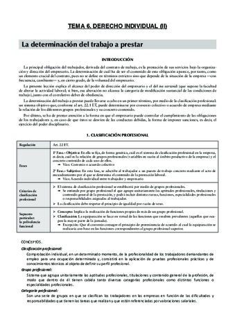 Tema 6. Derecho individual (II).pdf