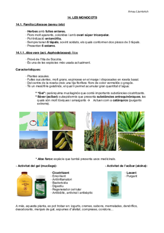 Apunts botànica farmacèutica (Tema 14).pdf