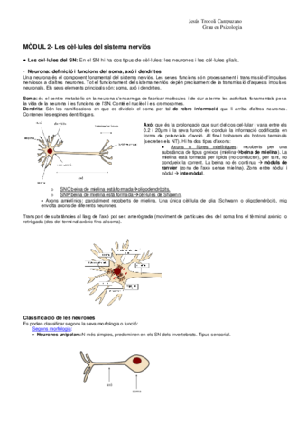 Psicobiologia - Resum.pdf