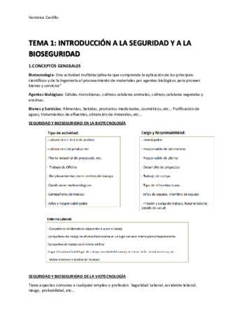 TEMA 1.pdf