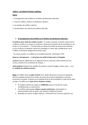 Tema 5 Teoria de las relaciones laborales.pdf