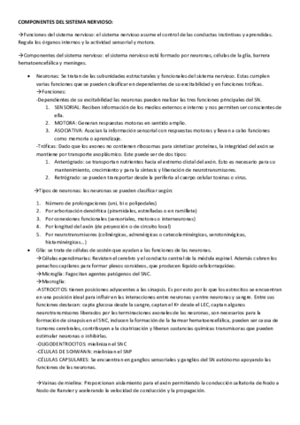 2. COMPONENTES DEL SISTEMA NERVIOSO.pdf