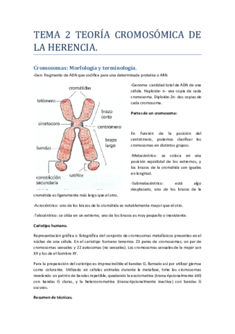 Tema 2 Genética.pdf