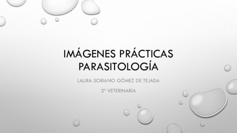 IMÁGENES PRÁCTICAS PARASITOLOGÍA.pdf