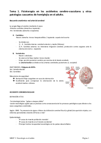 Tema 1. MEIF5 terminado 2018 redactado.pdf