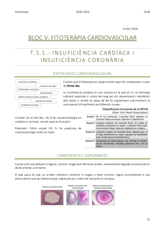 Fitoteràpia Bloc V.pdf