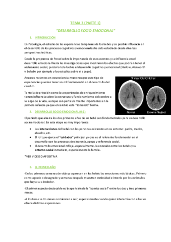 TEMA 3.1.pdf