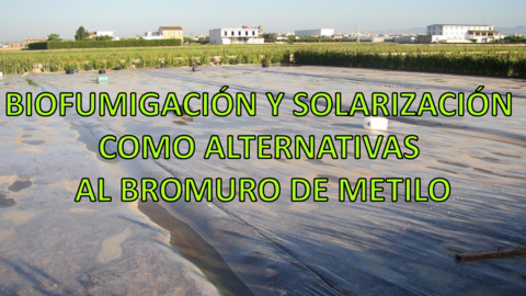 BIOFUMIGACIÓN Y SOLARIZACIÓN COMO ALTERNATIVA AL BROMURO DE METILO.pdf