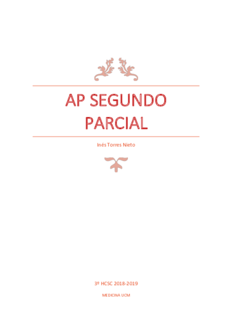 AP 2º PARCIAL.pdf