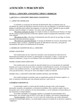 0atencion_y_percepcion TEMARIO.pdf