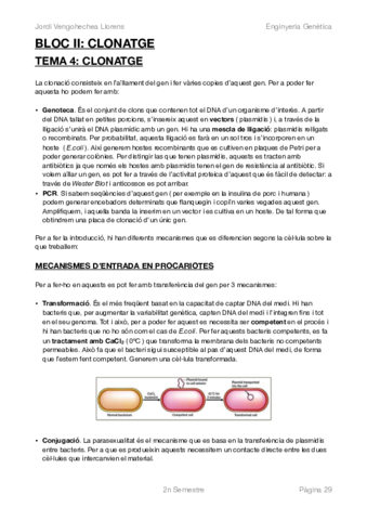 ENGINYERIA GENÈTICA - BLOC II.pdf